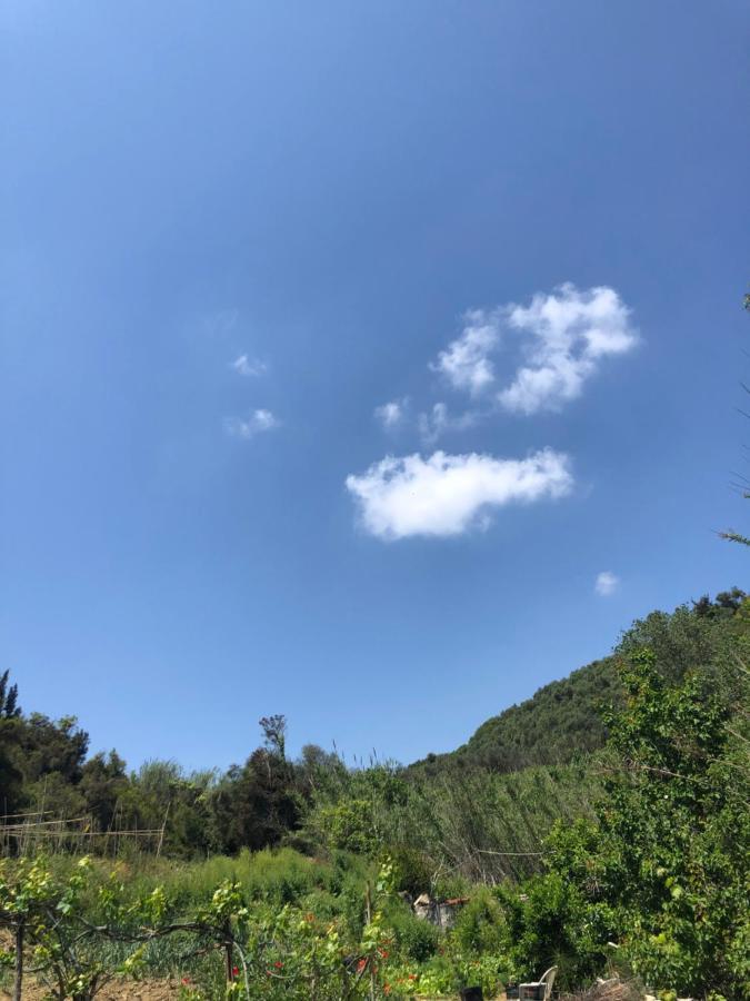 教堂别墅公寓 维塔拉戴斯 外观 照片